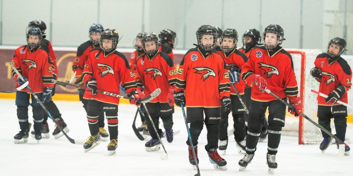 Поздравляем команду 2014 года, весь тренерский штаб, родителей и болельщиков с удачным завершением официальных игр Кубка Москвы!