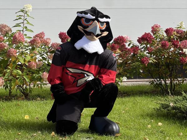 Открыт набор игроков в команды ХШ «Авангард» Москва 2017 и 2018 г.р.